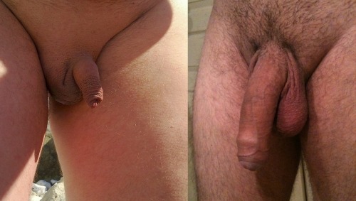 Big Cock/Little Cock