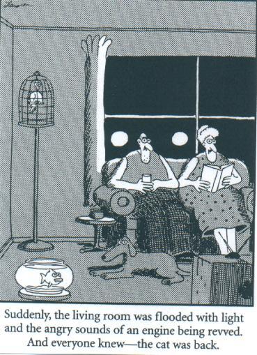 the far side on Tumblr