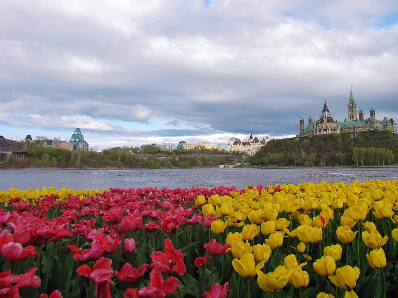 NCPR, cold-filtered for your enjoyment — Ottawa in spring Just before ...