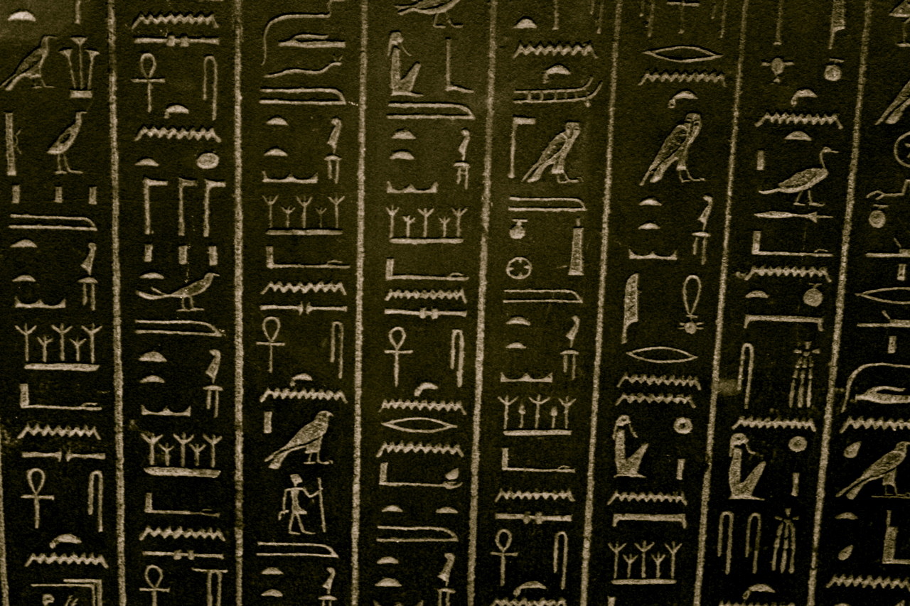medu-neter-header
