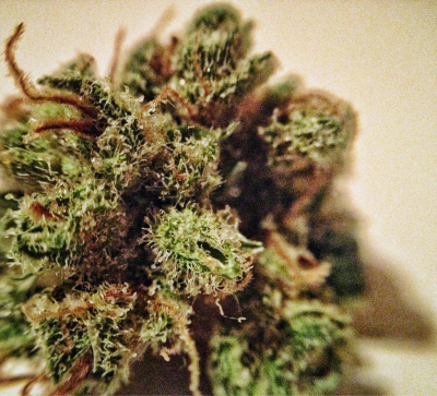 Thc Crystals Tumblr