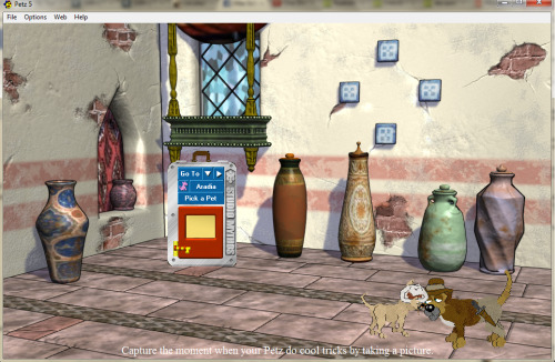petz 5 download free full game petz 5 download free full game