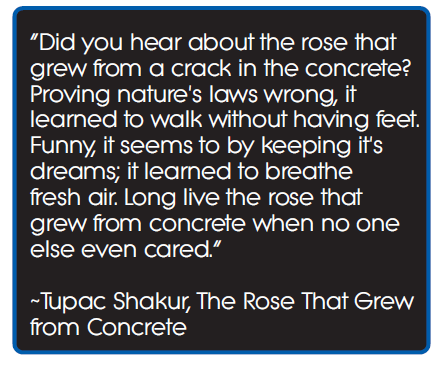 Image result for TUpac rose in cement