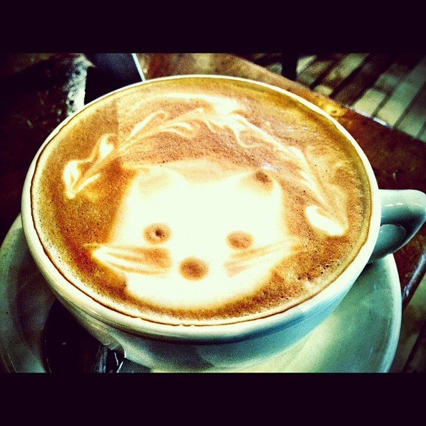  Meow  cat latteart coffee Taken with Instagram 