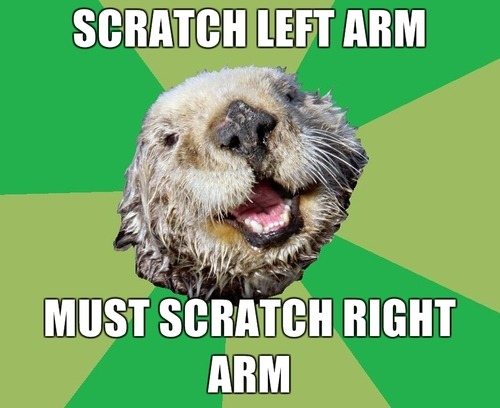 @OCD Otter