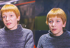 twins weasley on Tumblr