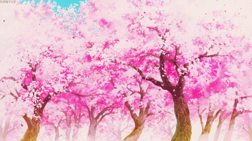 One Piece sakura tree desu desu idk lulz opedit
