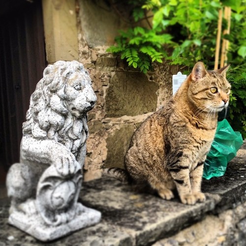 bochinohito:amnemonic:Sir Charles purveying his garden (via...