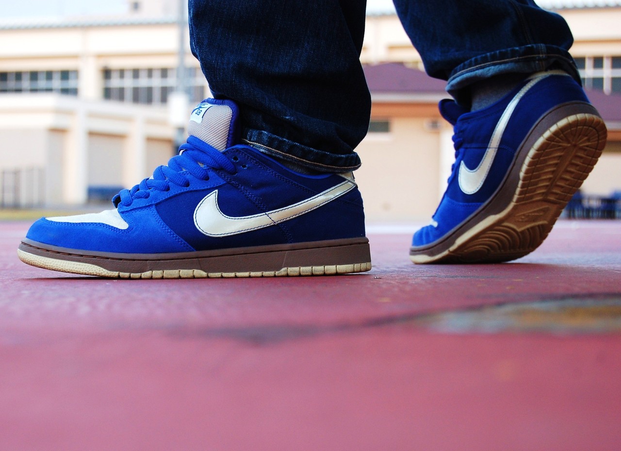 nike sb gold rail