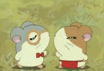 hamtaro ham hams unite he kegif