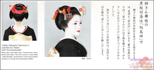 139th Miyako odori (2011)
Maiko Mameharu wearing Yakko shimada hairstyle
