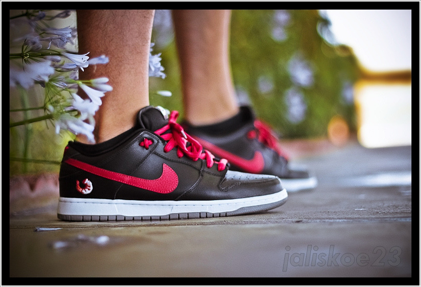 nike sb shrimp