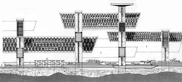 Plan para la bahía de Tokio - Kenzo Tange - 1960 - MEGAESTRUCTURAS