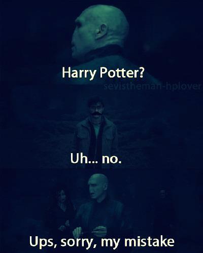 Harry Potter House Memes