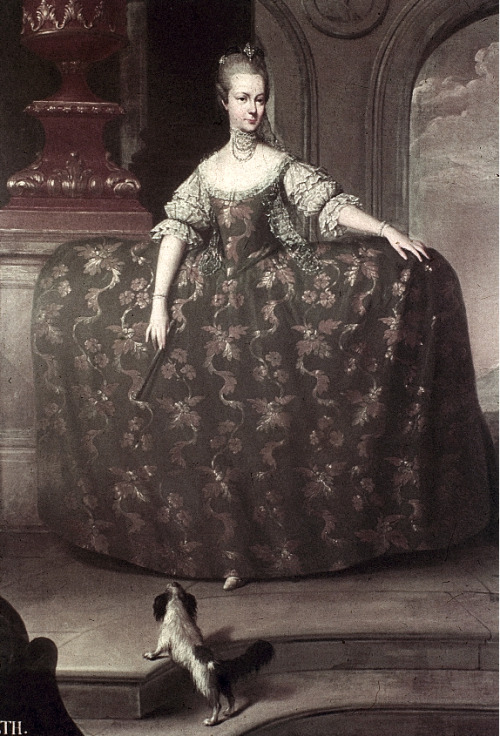 A portrait of Maria Elisabeth of Austria by Martin van Meytens. Maria Elisabeth was a daughter of Maria Theresa and elder sister of Marie Antoinette.