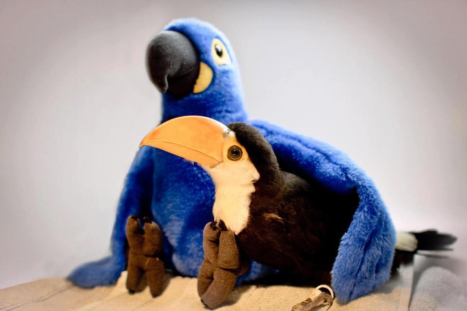 Baby Cute Toco Toucan