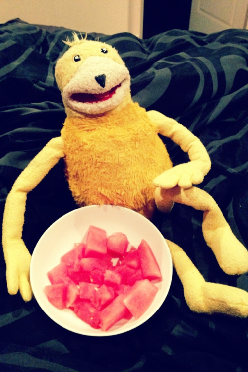 mroizo mr.oizo flatbeat eric electronic edm