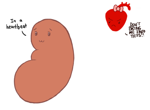 funny kidney clipart - photo #17