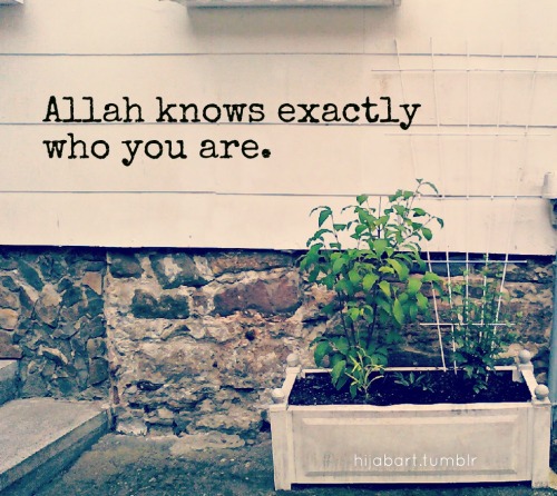 allah knows on Tumblr