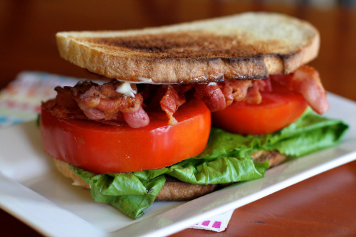 kitchenelves:Field Tomato BLT… (by milikin)