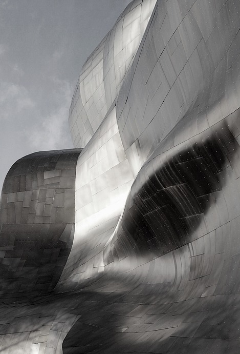 fiore-rosso:frank gehry.