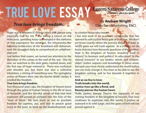 Essay on what is love