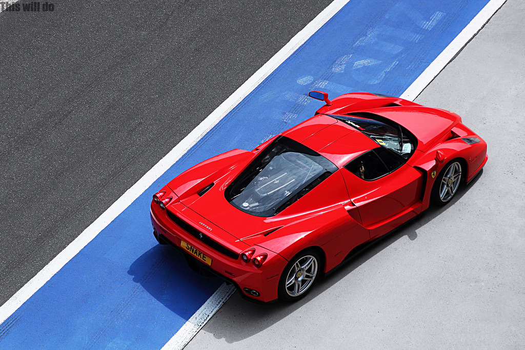 ferrari enzo f60