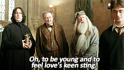 Image result for dumbledore love's keen sting gif