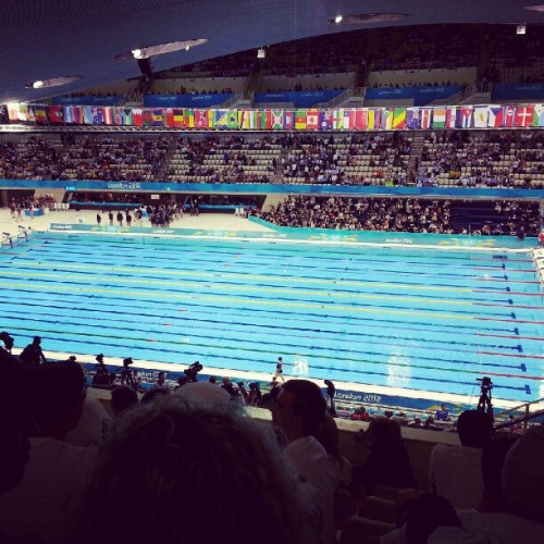 olympic swimming on Tumblr