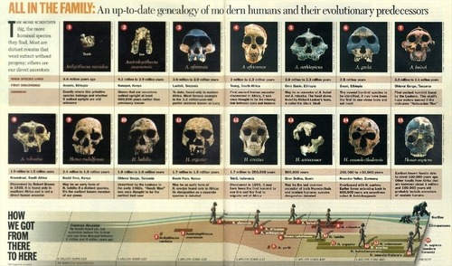 ExposingReligion Blog - The Complete Human Evolution Evidence Database