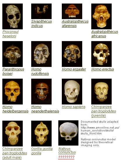 ExposingReligion Blog - The Complete Human Evolution Evidence Database