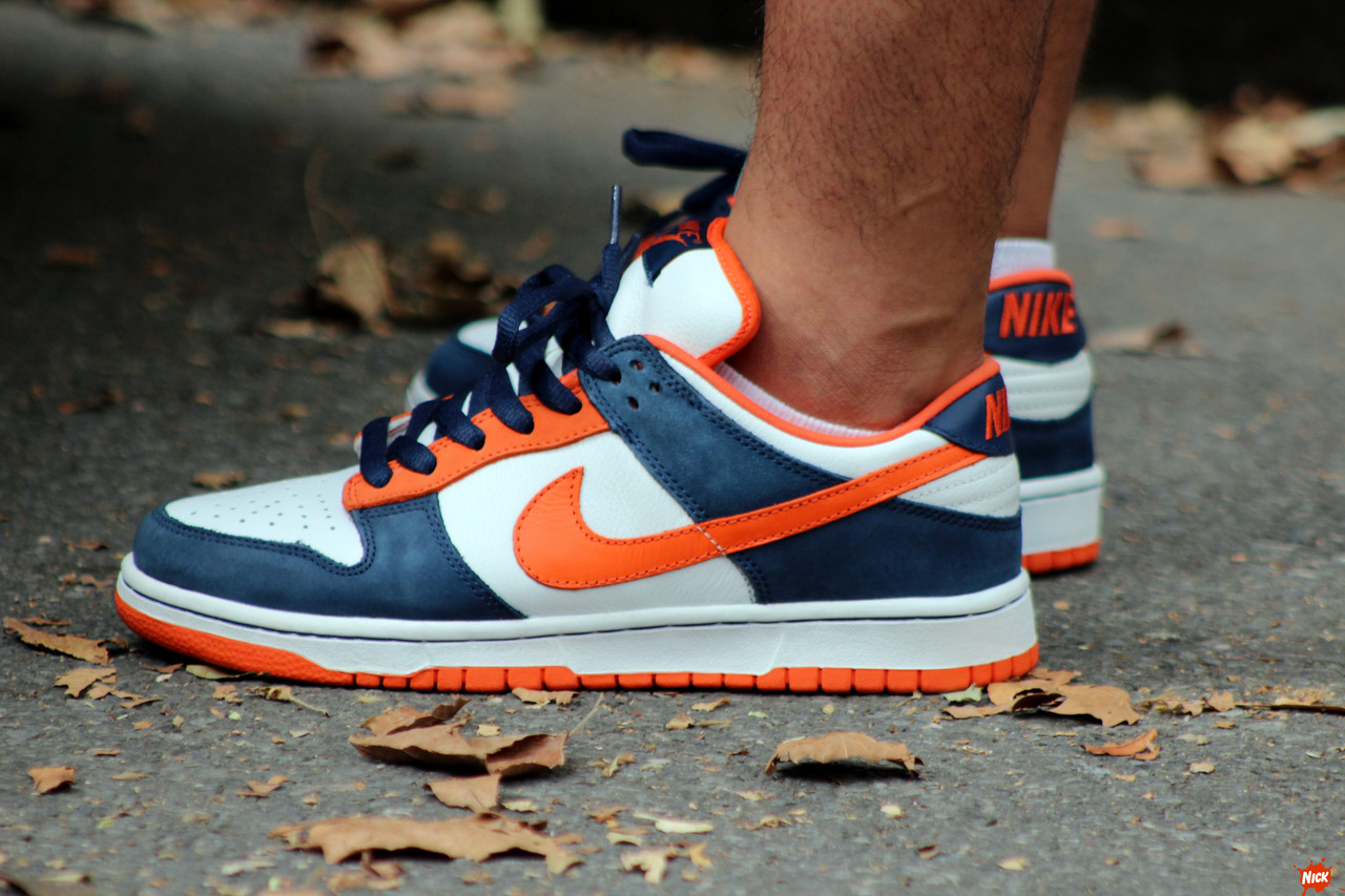 nike sb bronco