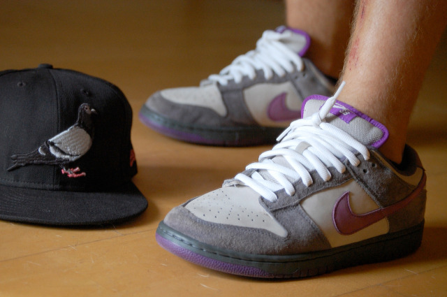 sb dunk purple pigeon