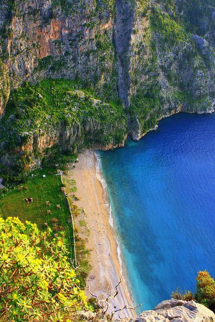 fethiye likya lycia turkei turkey türkei türkiye vadisi way travel butterfly Tourism mediterranean beach