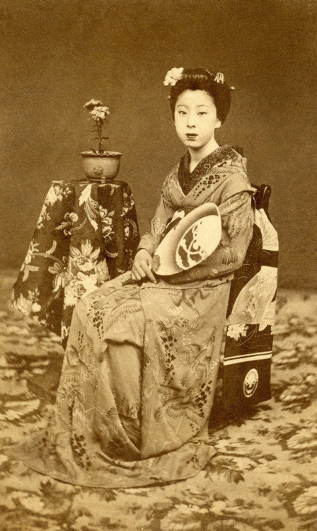 Maiko Kayo in a Crow and Wisteria Kimono (1876)
“Kayo was a famous Maiko (Apprentice Geisha) during the early Meiji period (1870s) in the Gion district of Kyoto. Although her exact date of birth is unknown, she is thought to have become a Minarai...