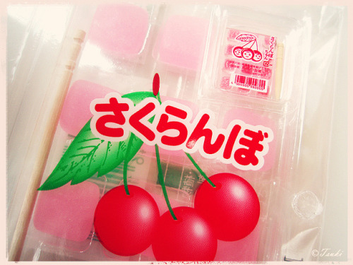 rement miniature japanese cherry sakuranbo okashi kashi japan nihon