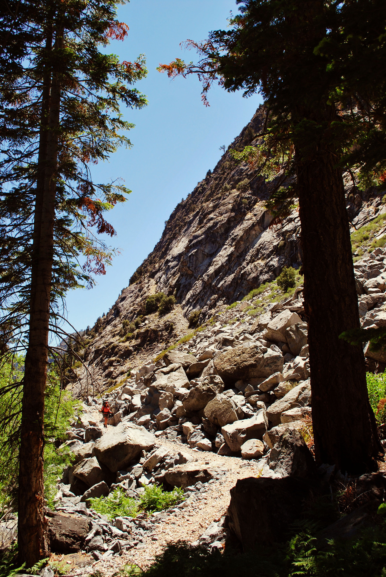 CHAGOOPA PLATEAU-KERN HOT SPRINGS Sequoia