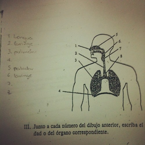 Me siento en examen de anatomía de mi papi () (Tomada con...