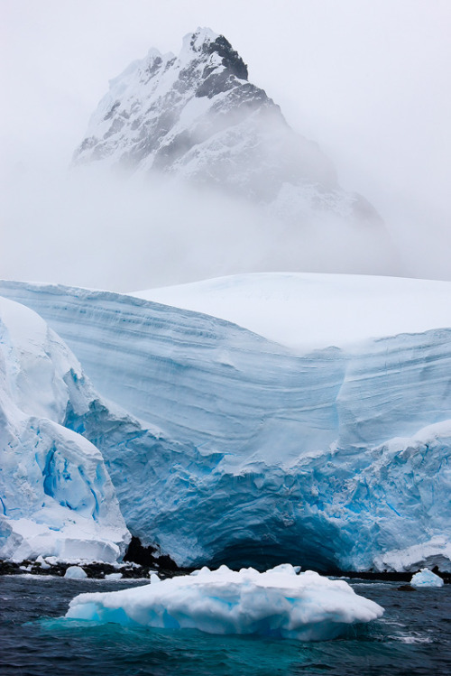 wildseduction:Hidden Bay, Antarctica | Adam Burton Photography