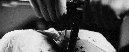 Women Gif Tumblr 8 Women Gif Tumblr 8