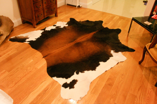 Argentina to New York City,  this cow skin rug is finally where...