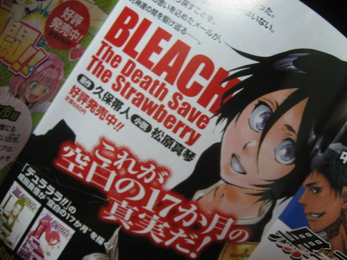 Bleach The Death Save The Strawberry Japan Novel