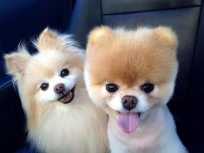 pure cuteness.