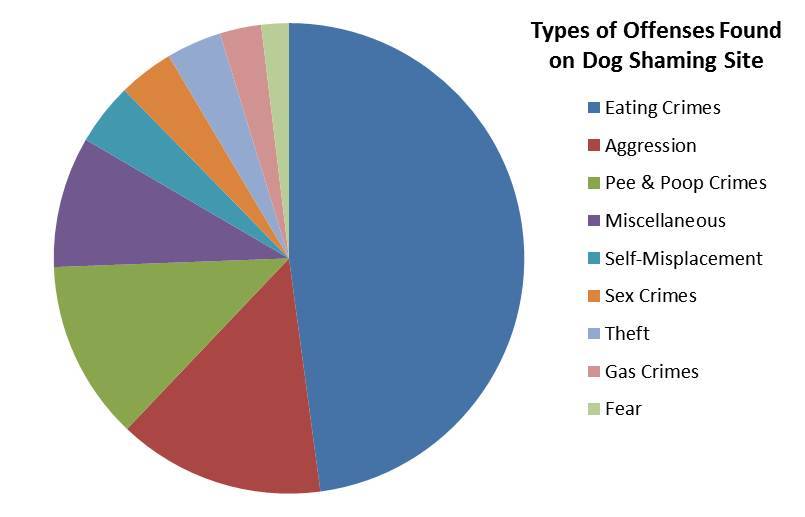 Pie Chart Wow