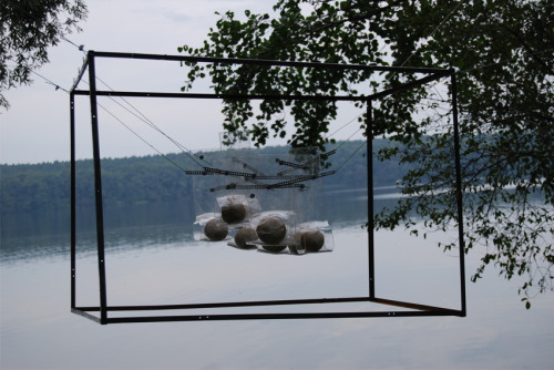 art contemporary pablo fernandez berlin