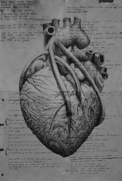 human heart on Tumblr