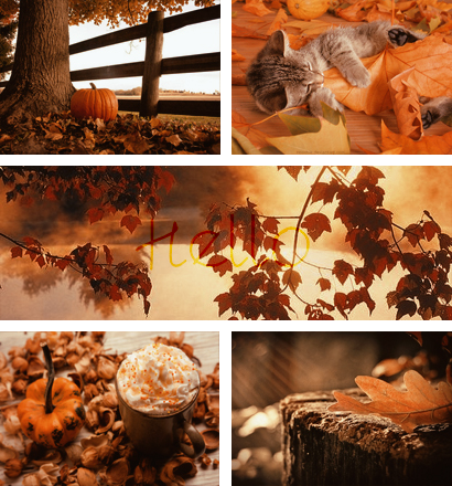 hello autumn on Tumblr