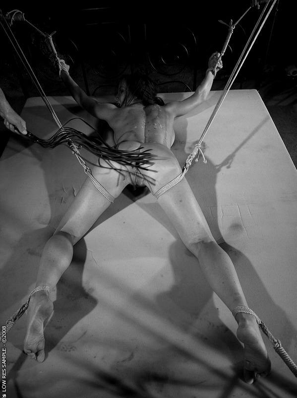 Bound flogged and fucked