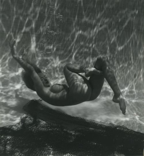 realityayslum:Andre De Dienes, 1950s.… via ebay (UK) … (looks...