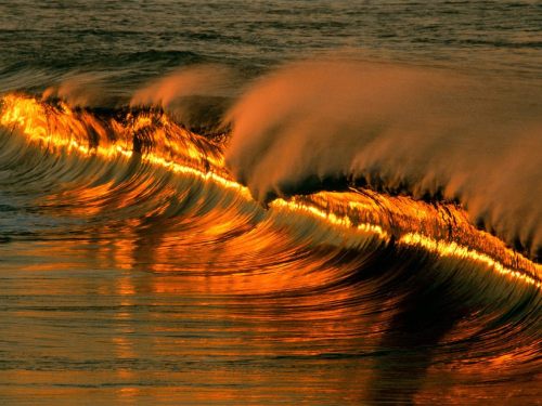 adreciclarte:Golden Wave at Puerto Escondido, Mexico